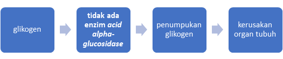 Diagram yang menjelaskan proses pencernaan glikogen pada orang dengan penyakit Pompe
