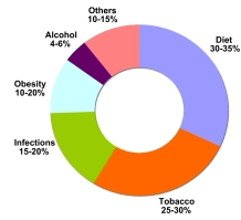 Chart, pie chart 
95% kanker diakibatkan gaya hidup tidak sehat, seperti makanan junk food, merokok, infeksi, dan lainnya -asuransinow.com (source: M. D. Anderson Cancer Center, Universitas Texas, 2008) 