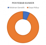 graphic grafik penyebab kanker asuransinow.com