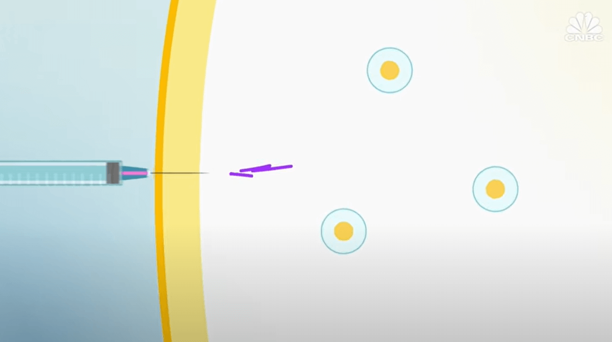 Apa perbedaan vaksin konvensional dengan vaksin mRNA COVID-19? Lihat penjelasan mudahnya disini