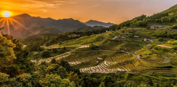 tradisi makan nasi sudah turun temurun di Indonesia. Simak manfaat shirataki sebagai pengganti nasi